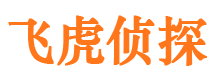 广元市婚外情调查